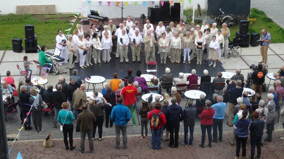 Burendag in de Groes